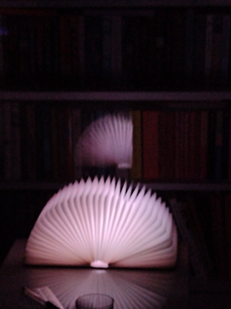 markplynch's tweet image. #booklight