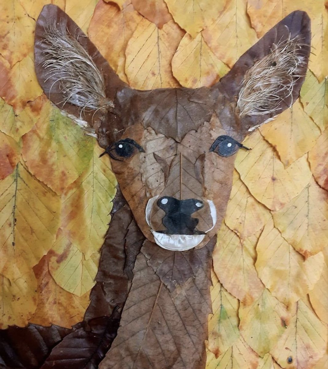 Cosy nights 🔥 Are you being creative this Autumn ?
the beauty of leafs 🍁🍃🌳
#lincolnart #LincsConnect #winterbreaks 
#leaf #roedeer #walkingholidaysuk #backtonature