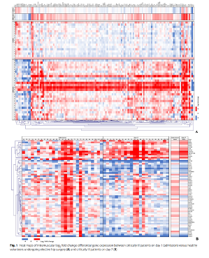Zudin_P's tweet photo. @FrantaDuska @SueBerney The muscles of the critically ill patients enrolled in these trials demonstrated stress responses  relative to healthy controls and corresponding alterations in metabolism over time https://t.co/yKUVFSo2IQ