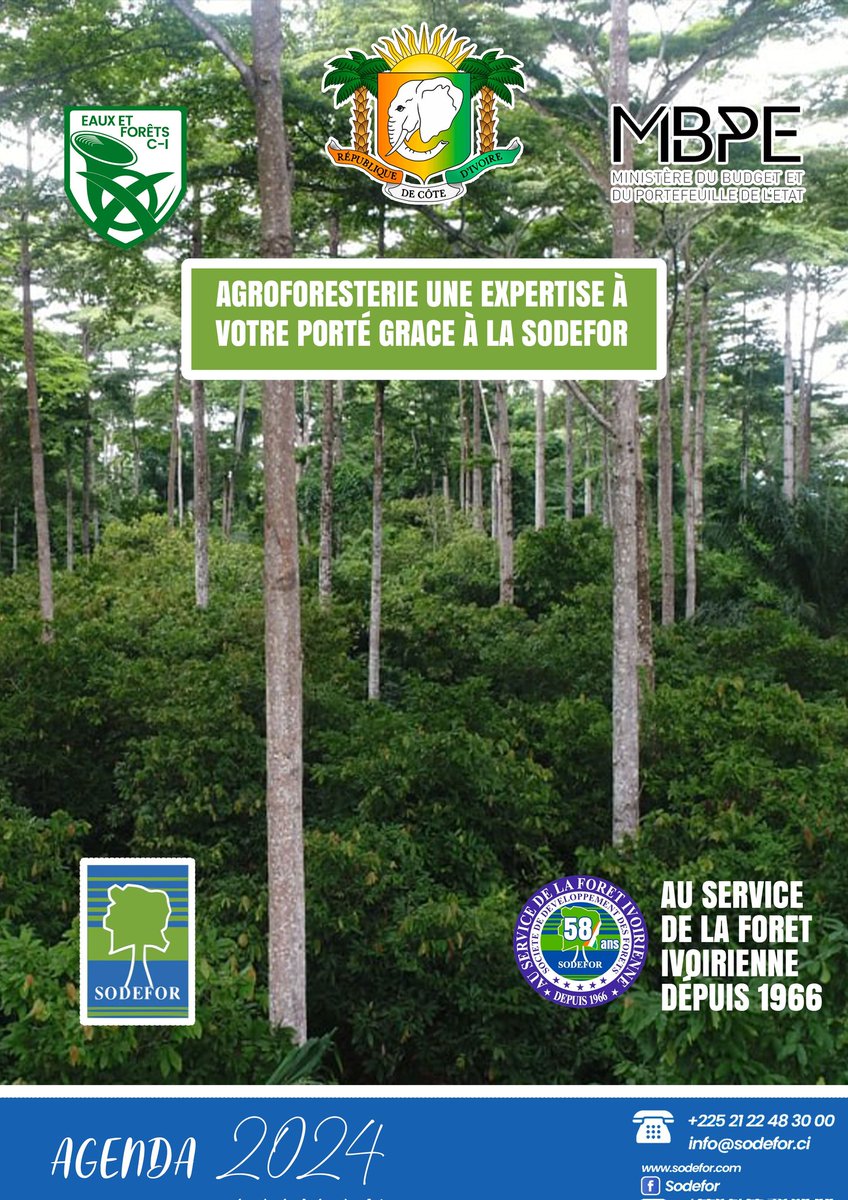 SODEFOR22's tweet image. #agroforesterie  une expertise longtemps éprouvée à la @SODEFOR22 .
@FAOWestAfrica @7info_ci @FondationYes @FAOCotedIvoire @pnudcotedivoire @Cargill @GroupeCemoi @lsiafrica
