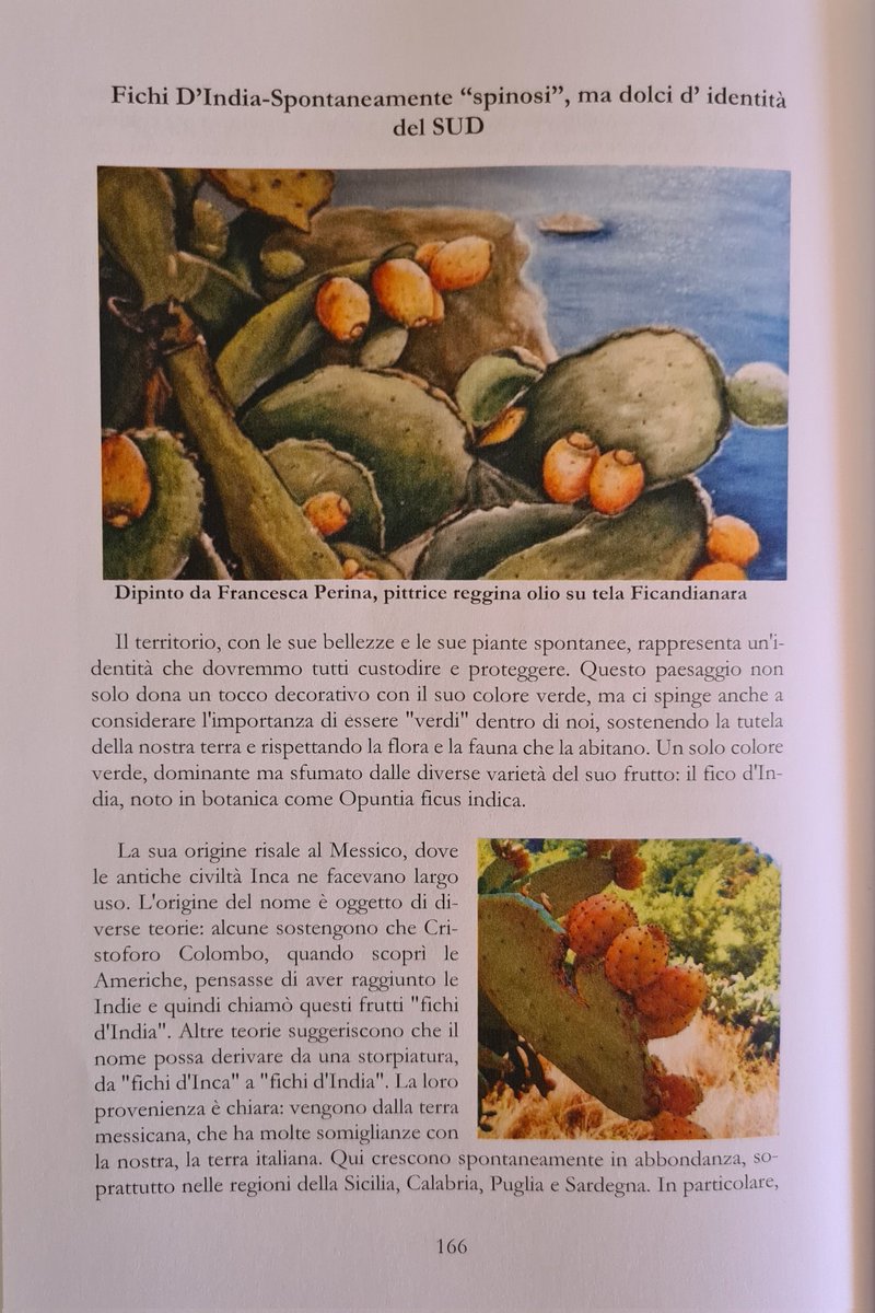 👇👇🇮🇹
youtu.be/Up7JhmAXZoY?si…
👇👇🇮🇹
lanuovacalabria.it/raccontando-la…
Per la nostra Terra <a href="/robertoocchiuto/">Roberto Occhiuto</a>
<a href="/lanuovacalabria/">La Nuova Calabria</a> <a href="/PapaleoStefania/">Stefania Papaleo</a>