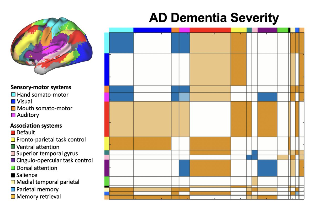 We know Alzheimer’s Disease disrupts memory circuits But our new research reports AD brain network alterations extending beyond memory regions, even early in the disease The impacts include sensory-motor networks, and AD effects are distinct from aging jneurosci.org/content/43/46/…