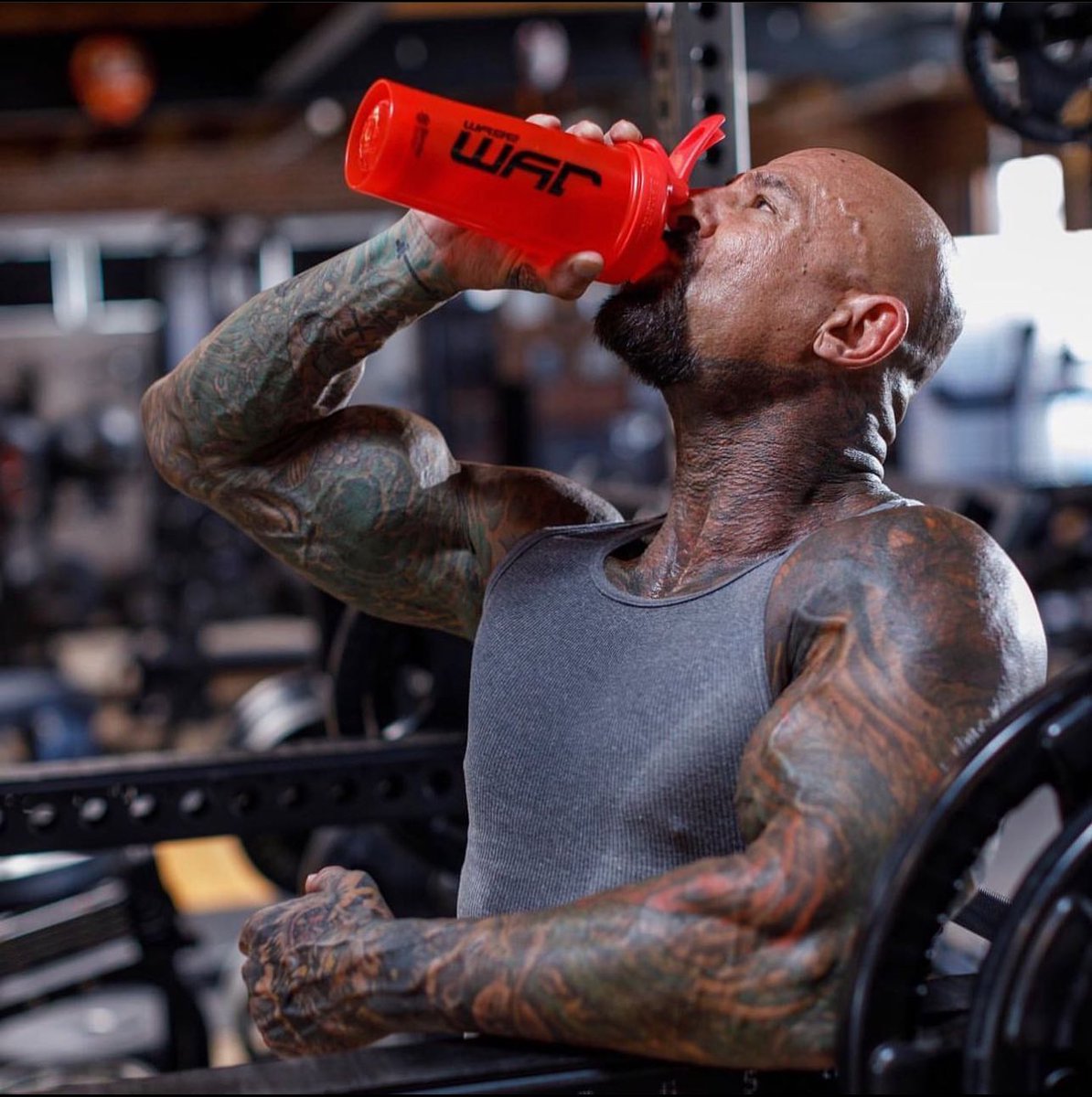 JimStoppani's tweet photo. Do you know the importance of taking Beta-alanine around training?

✅ Everything you need to know is in my Beta-alanine article https://t.co/dPhq55OMjB

#fyp #foryou #myths #busted #educate #science #phd #preworkout #postworkout #gym #train #workout #supplements #fyp #jym https://t.co/5b3MnQGD5G