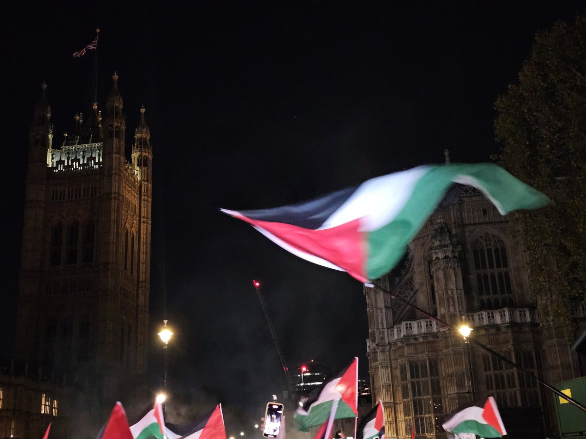 zenfulexistence's tweet photo. From the river 🏞️ to the sea 🌊, Palestine 🇵🇸 will be free!  #CeasefireNOW https://t.co/shjKDBgCWg