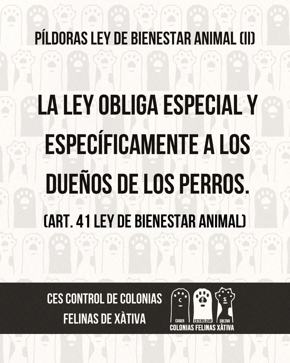 PÍLDORAS LEY DE BIENESTAR ANIMAL (II): DEBERES DE LOS CIUDADANOS
#Leybienestaranimal #coloniasfelinas #ciudadanos #animales #cats #españa