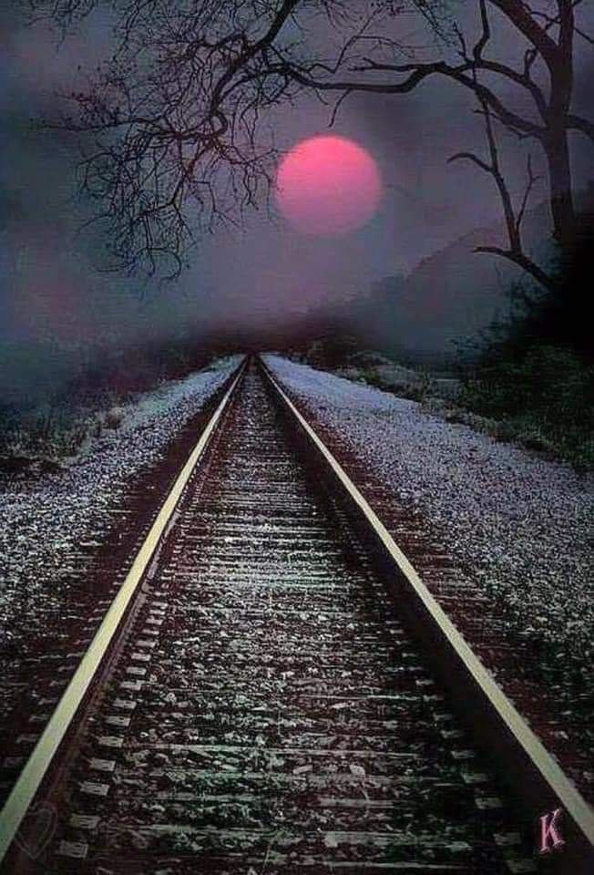 Night.