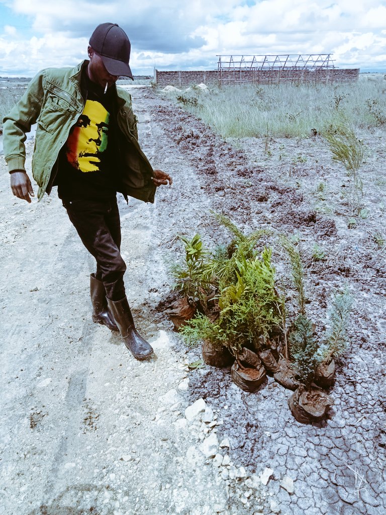 Keep it green world pp