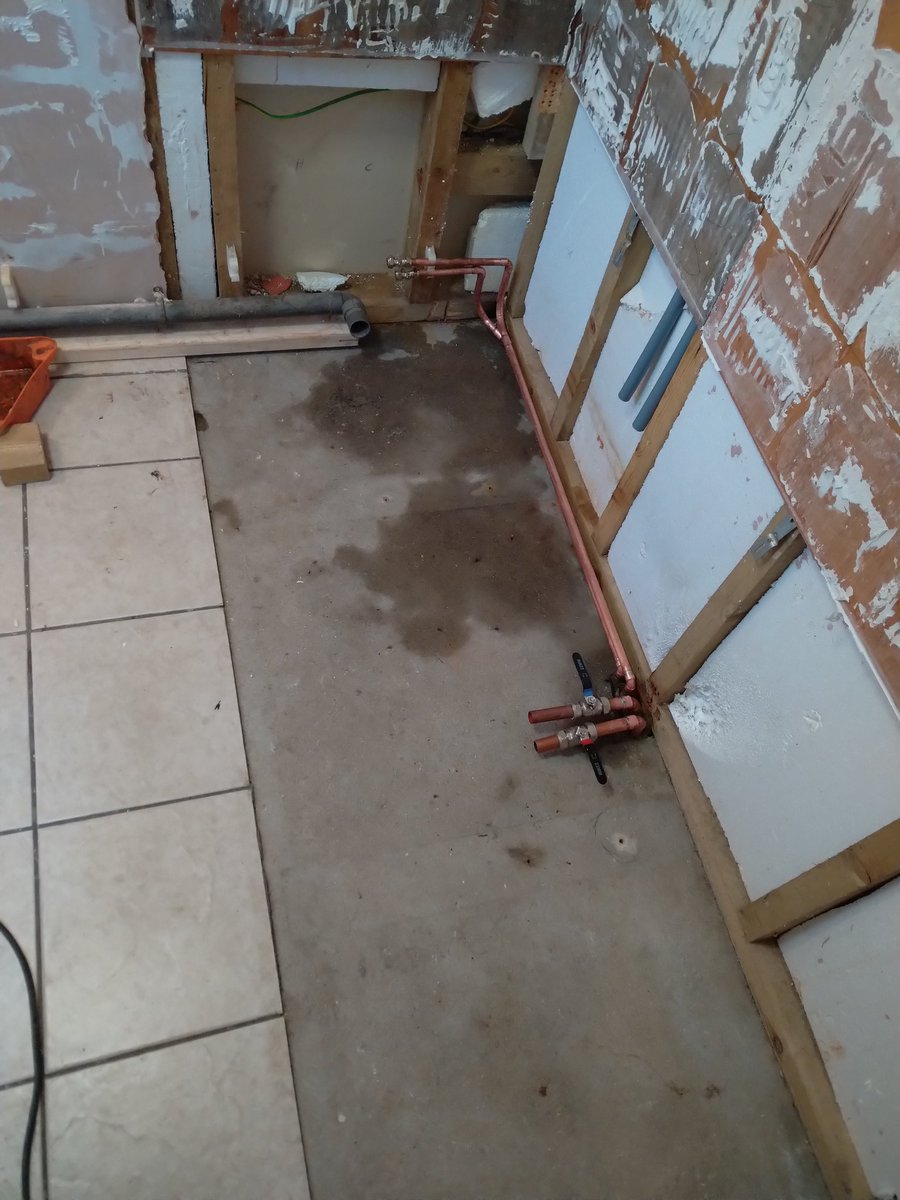 The sights you find under a bath! 😬