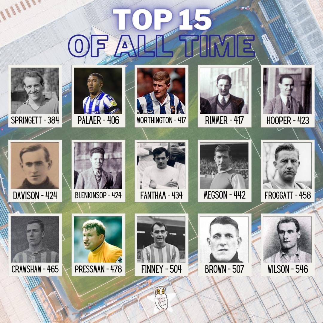 allison Palmer tweet media