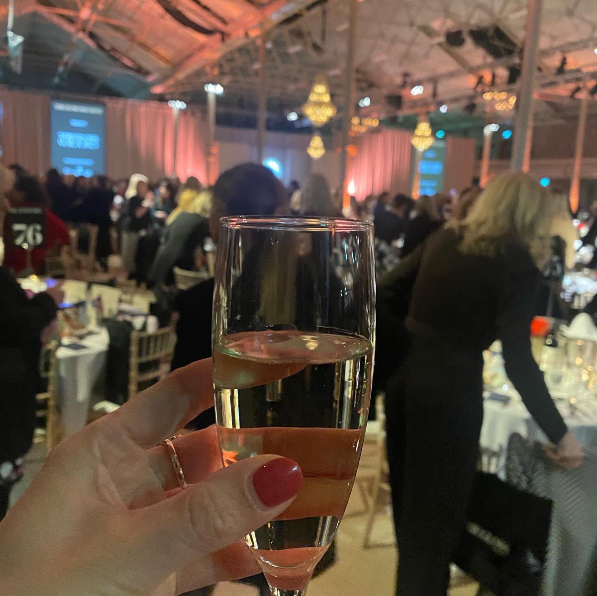 Delighted to once again be attending <a href="/TheGlossMag/">TheGlossMag</a> annual gala in #dublin Team <a href="/IDAIRELAND/">IDA Ireland</a> pic #womenwhorock