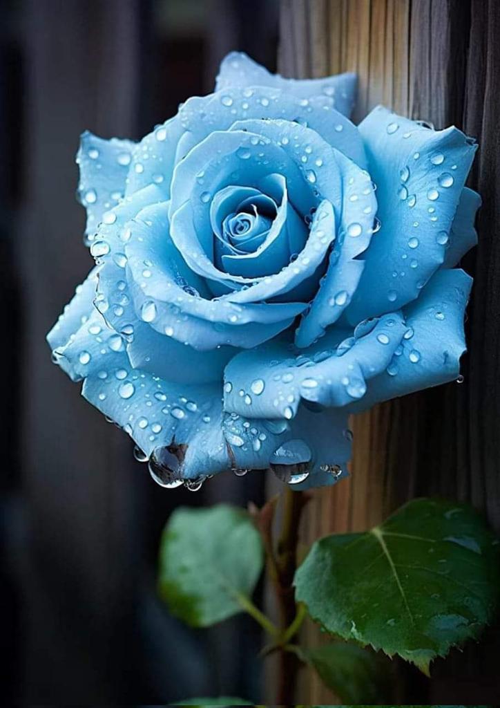 Dr.Tőke Anna (@drtkeanna1) on Twitter photo 