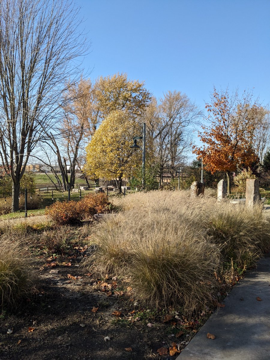Beautiful day here at Thunderbird in Kalamazoo, MI!