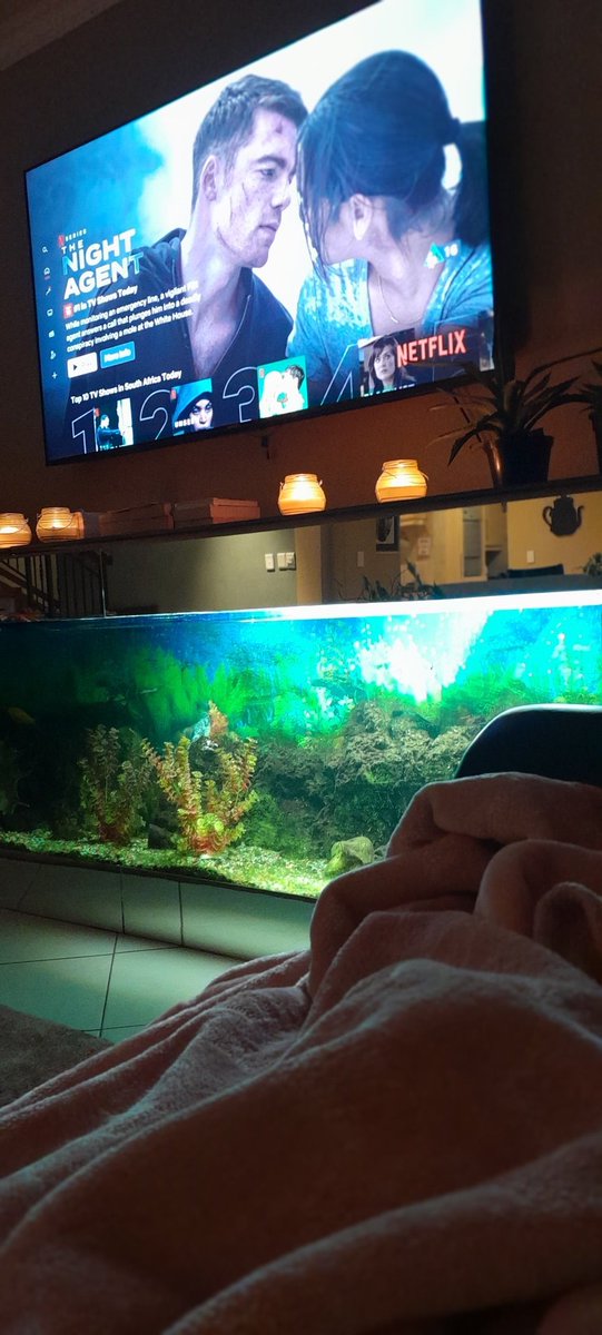 Solo nights are not that bad.