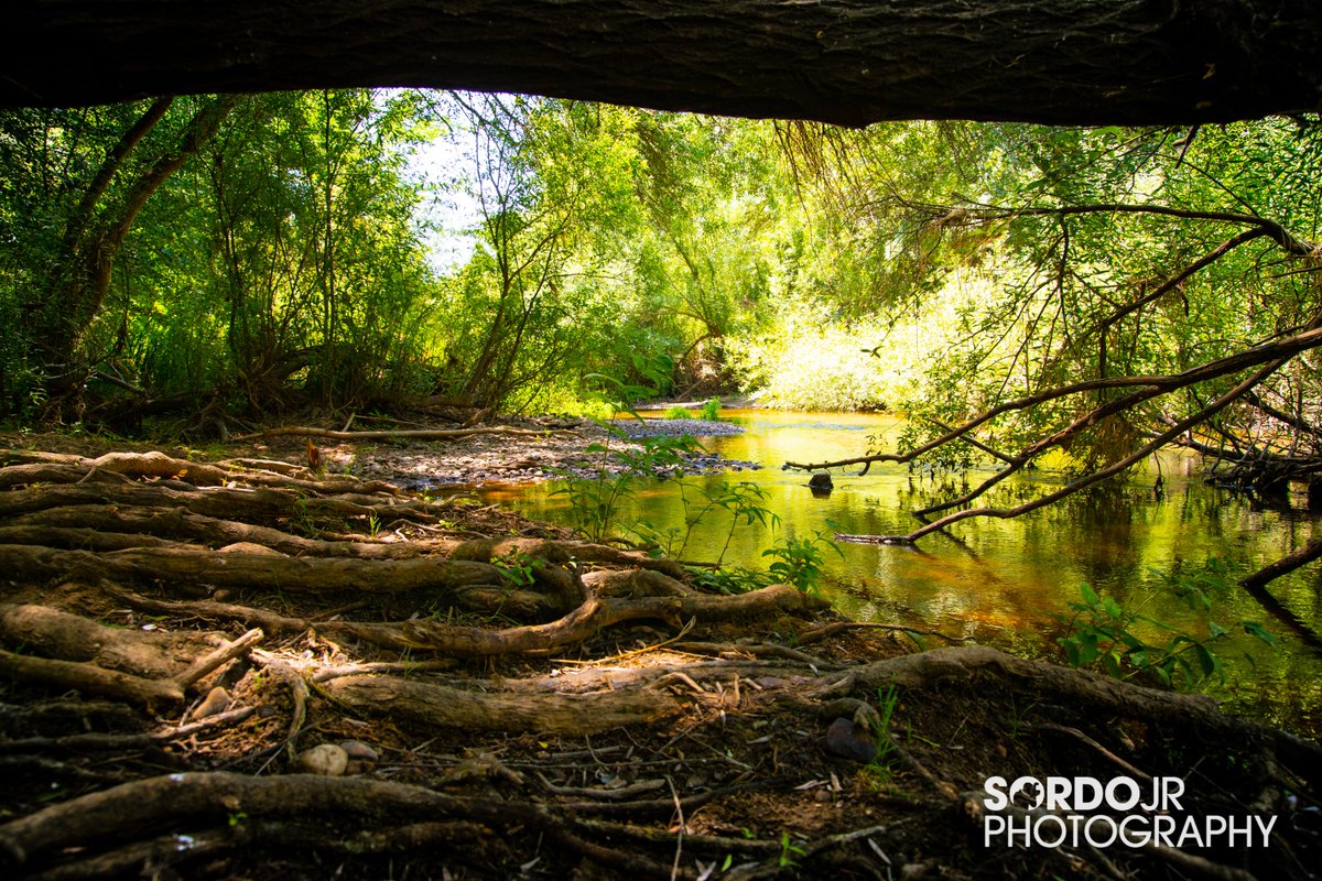 SordoJr's tweet photo. Las Crispitas y alrededores de Badajoz, Extremadura, un verdadero paraíso natural que se pierde día a día por nuestros hábitos de vida.

#badajoz #extremadurural #naturalezaincreible #rioguadiana https://t.co/2kiQsX4C8x