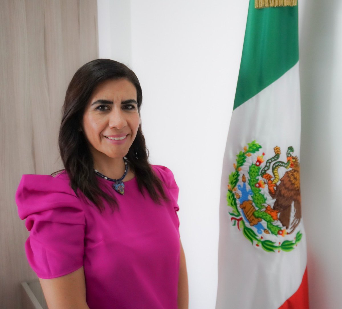 PRIOaxaca_'s tweet photo. Esta mañana la presidenta del CDE, @CarmelitaRicdzV tomó protesta a Claudia Suárez García como nueva Secretaria de Comunicación Institucional del @PRIOaxaca_.

Su profesionalismo y entusiasmo, sin duda fortalecerá al PRI. 

¡Bienvenida! https://t.co/mF7rm0ykLY