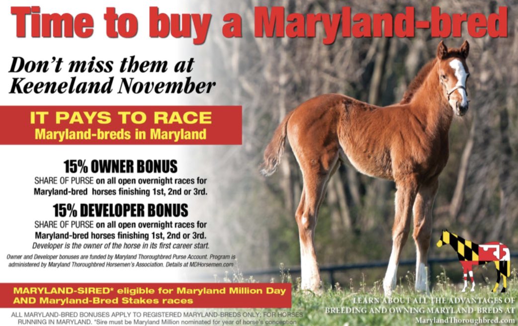theTDN's tweet photo. There’s still time to buy a Maryland-bred at Keeneland November!
Don’t miss out. It pays to race #MDBreds in Maryland 💰 @MarylandTB https://t.co/8xW78eNKGe
