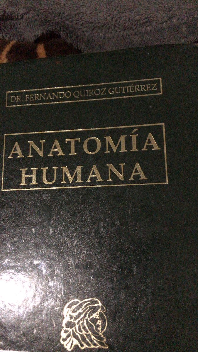Broman505's tweet photo. Café, lluvia y un buen libro ⛈☕️👨🏻‍⚕️💉🫀 https://t.co/dUT0jRPrnW