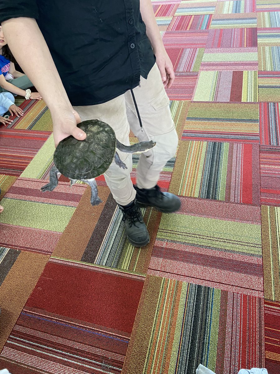 St Bridget's Primary School tweet media