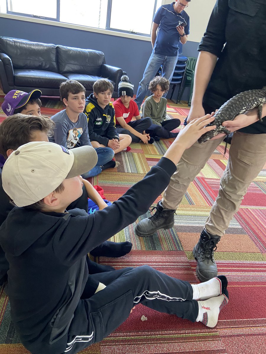 St Bridget's Primary School tweet media