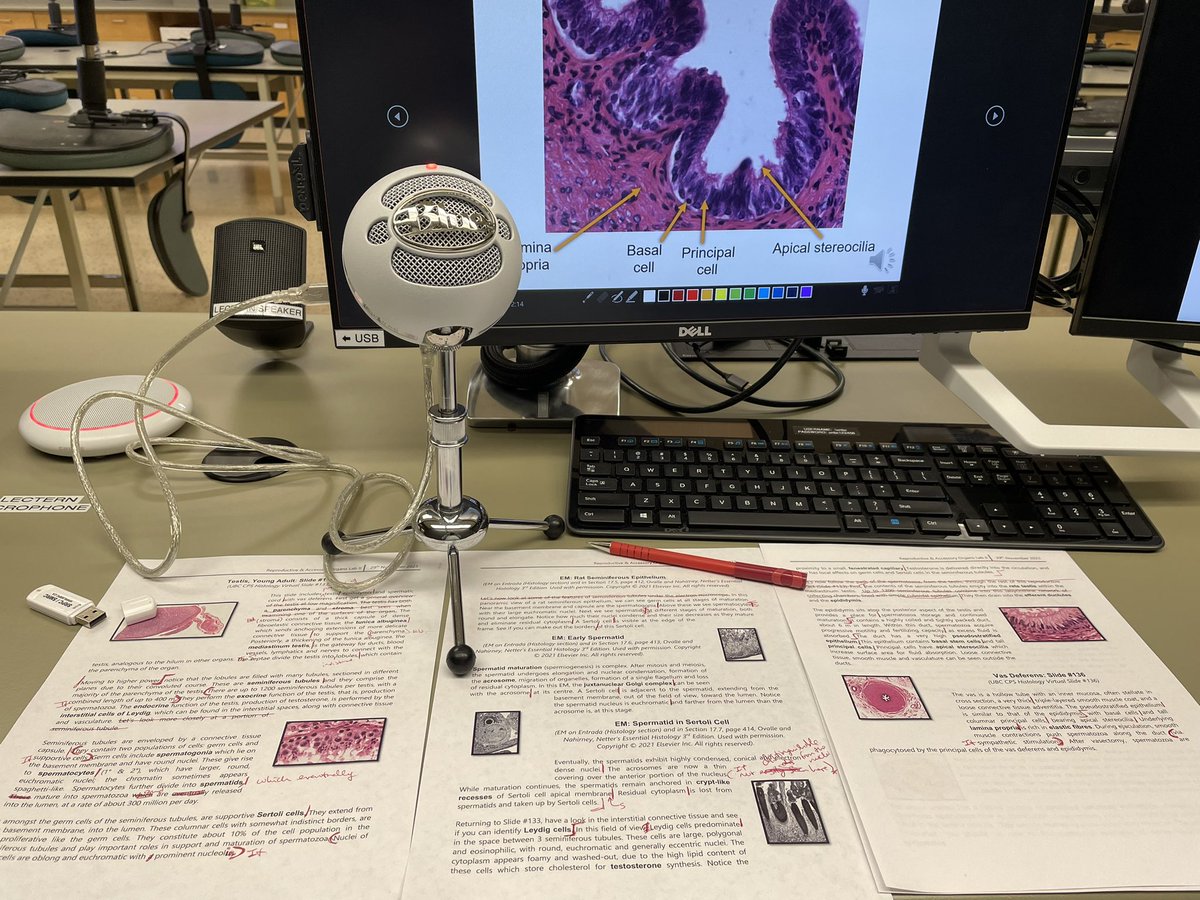 Sean Mo (@drseanmaurice) on Twitter photo This is where the magic happens (?), updating histology lab recordings for another year #MEDD411 #Classof2027 <a href="/DrKarenPinder/">Dr Karen Pinder 🔬</a> <a href="/UBCNMP_unbc/">NorthernMedicalProg</a> @UBCmedicine This is where the magic happens (?), updating histology lab recordings for another year #MEDD411 #Classof2027 <a href="/DrKarenPinder/">Dr Karen Pinder 🔬</a> <a href="/UBCNMP_unbc/">NorthernMedicalProg</a> @UBCmedicine