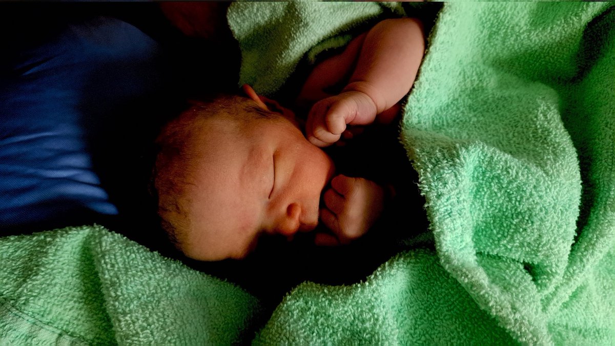 Bowinn Ma tweet media