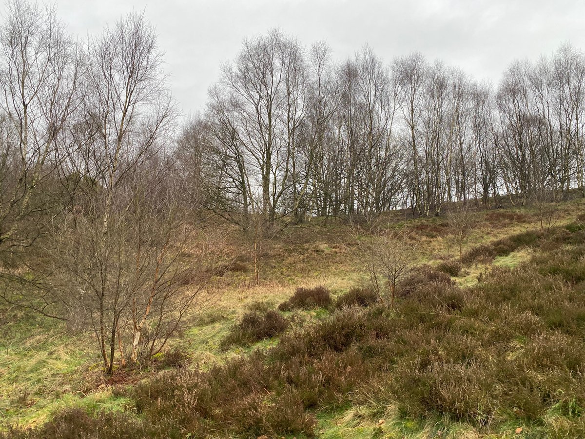 POTOC_Orienteering (@potteriesoclub) on Twitter photo 🗺️Our next event is at Cheddleton Heath, nr Leek
📅Saturday 2nd December
💻Pre-entries potoc.org.uk/events/cheddle…
The usual 4 courses + 60-minute score course suitable for newcomers.
<a href="/WaltonChasers/">Walton Chasers</a> <a href="/MDOCOrienteers/">MDOC</a> <a href="/DVOrienteers/">DVO</a> <a href="/DEE_OClub/">Deeside O Club</a> <a href="/WREorienteers/">Wrekin Orienteers</a> <a href="/HarlequinsOC/">Harley O'Quin</a> <a href="/WestMidsOA/">WMOA</a> 🗺️Our next event is at Cheddleton Heath, nr Leek
📅Saturday 2nd December
💻Pre-entries potoc.org.uk/events/cheddle…
The usual 4 courses + 60-minute score course suitable for newcomers.
<a href="/WaltonChasers/">Walton Chasers</a> <a href="/MDOCOrienteers/">MDOC</a> <a href="/DVOrienteers/">DVO</a> <a href="/DEE_OClub/">Deeside O Club</a> <a href="/WREorienteers/">Wrekin Orienteers</a> <a href="/HarlequinsOC/">Harley O'Quin</a> <a href="/WestMidsOA/">WMOA</a>