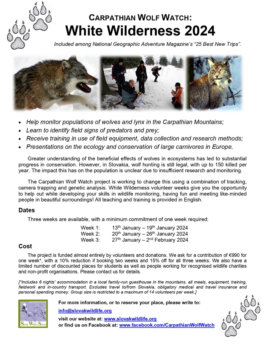 🚨Want to experience wolf research and monitoring in Slovakia ? 

🐺Join the Carpathian Wolf Watch on their
White Wilderness 2024 trips and learn about tracking, wildlife monitoring and large carnivore ecology🐾

For more info or to register go to: slovakwildlife.org/en/activities/…