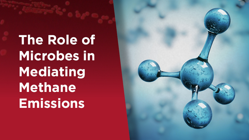 The Microbiome Center tweet media