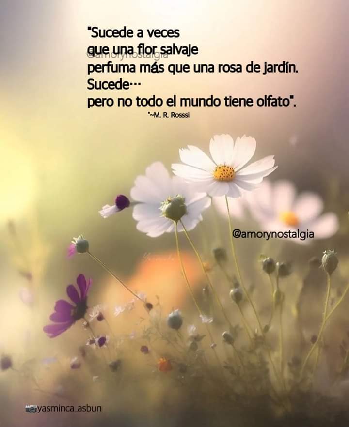 RaElodia's tweet photo. https://t.co/ijXmWz6v5W