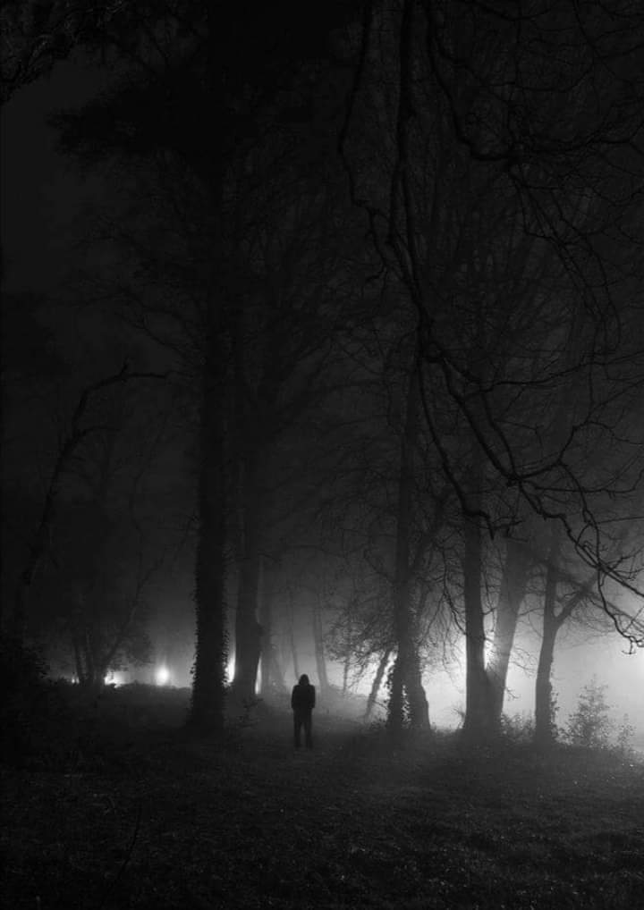 ConnieJoJo2's tweet photo. #spookythings https://t.co/iAD96YA37g