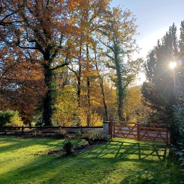 Marie Connell tweet media