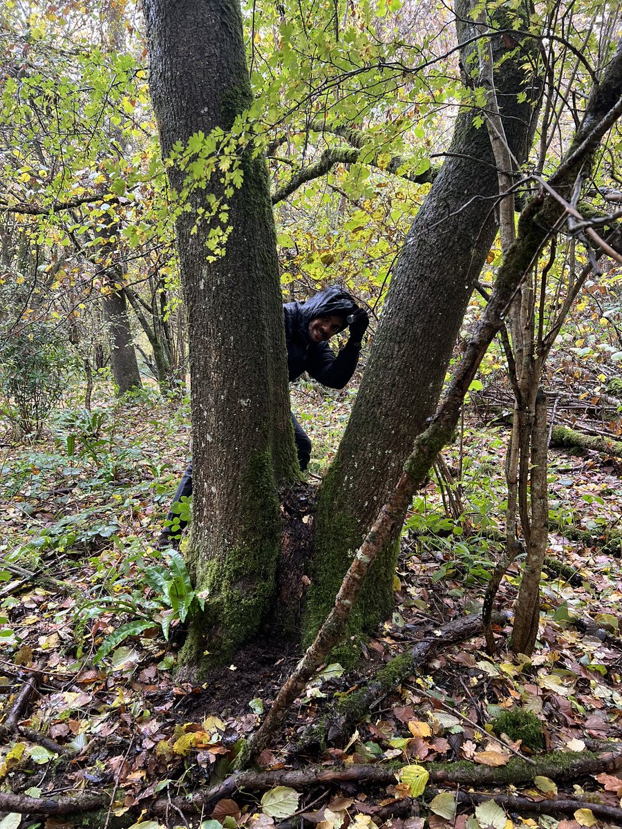 Vicky Hunt tweet media