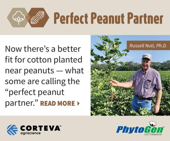 SPONSORED CONTENT — If you grow cotton in peanut country, find out how you can simplify management and improve yield potential on your farm. Don’t miss the latest 'Perfect Peanut Partner' article to get more from your cotton acres!

peanutgrower.com/sponsored-cont…