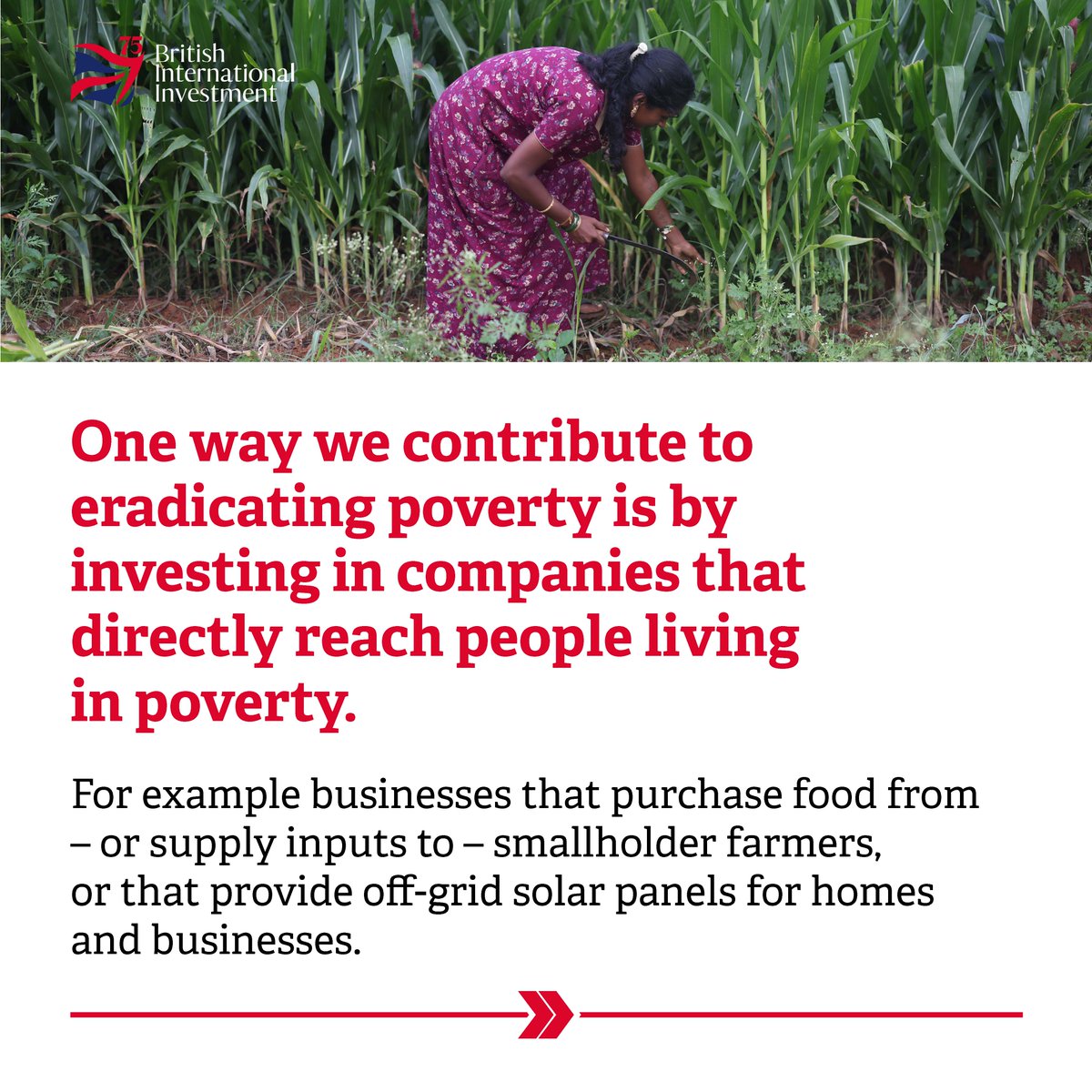 BritishIntInv's tweet photo. How does development finance help to eradicate poverty?

Our Director of Research and Policy @CarterPaddy answers this question in his latest blog. We’ve shared a summary below or take a look at the full blog over on our website.