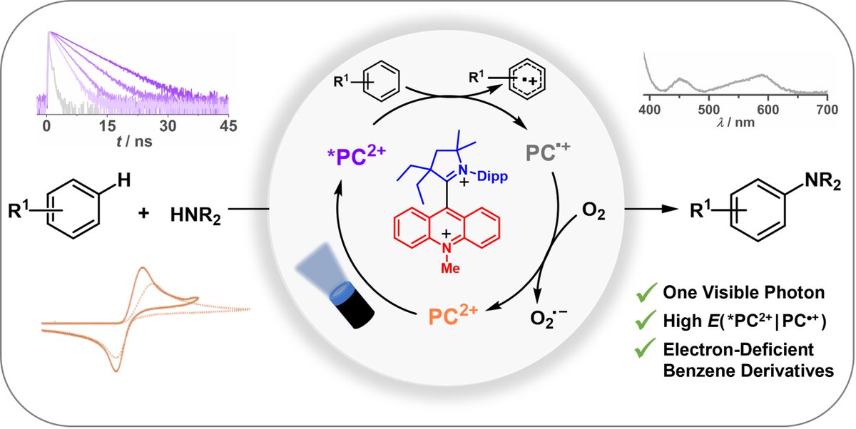 Our collaborative manuscript with the @MMHansmann_chem group is online @ChemRxiv 
chemrxiv.org/engage/chemrxi…
Outstanding dicationic organo-photocatalysts from @TU_Dortmund with some mechanistic studies from our very own Matthias.