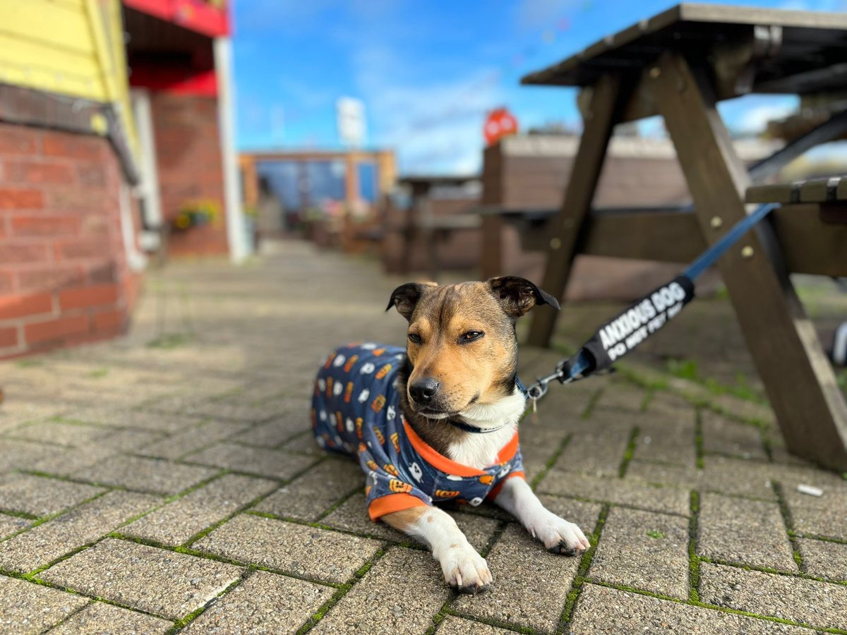 We’ve been out and about the North East filming for Research and Development for Knitwits written by <a href="/SarahRumfitt/">Sarah Rumfitt</a> and co-produced by our female community groups! 

Thanks to Paige &amp; her little dog Mocha for opening the doors to La Verne Vintage Coffe shop for 📽️ on the Tyne🖤🤍