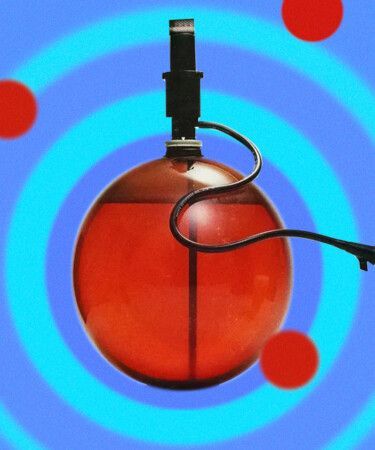 Mirella Amato tweet media