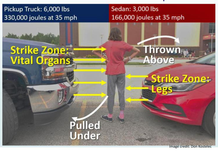 HeidiPerov 🚴📚 tweet media