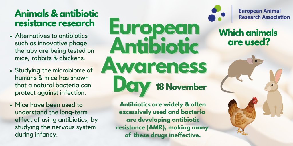 The_EARA's tweet photo. 💊 On #EuropeanAntibioticAwarenessDay, here's how #AnimalResearch is helping to combat #AntibioticResistance, which was responsible for 33k deaths in 2020. https://t.co/J2nQSbAyAV