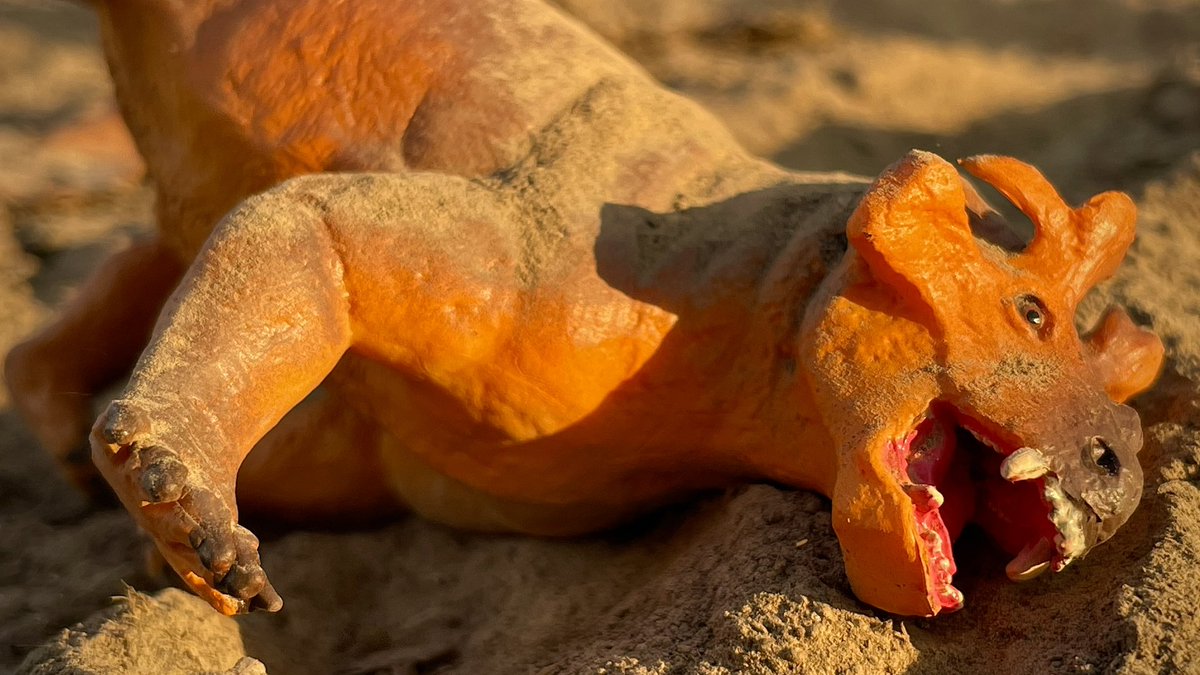 CollectorPaleo's tweet photo. “Dust Bath”
Estemmenosuchus enjoys a roll in the dust to protect itself from mites and biting insects.
@SafariLtd #paleoart #HowISafari #JurassicPark https://t.co/im5yJUwgds