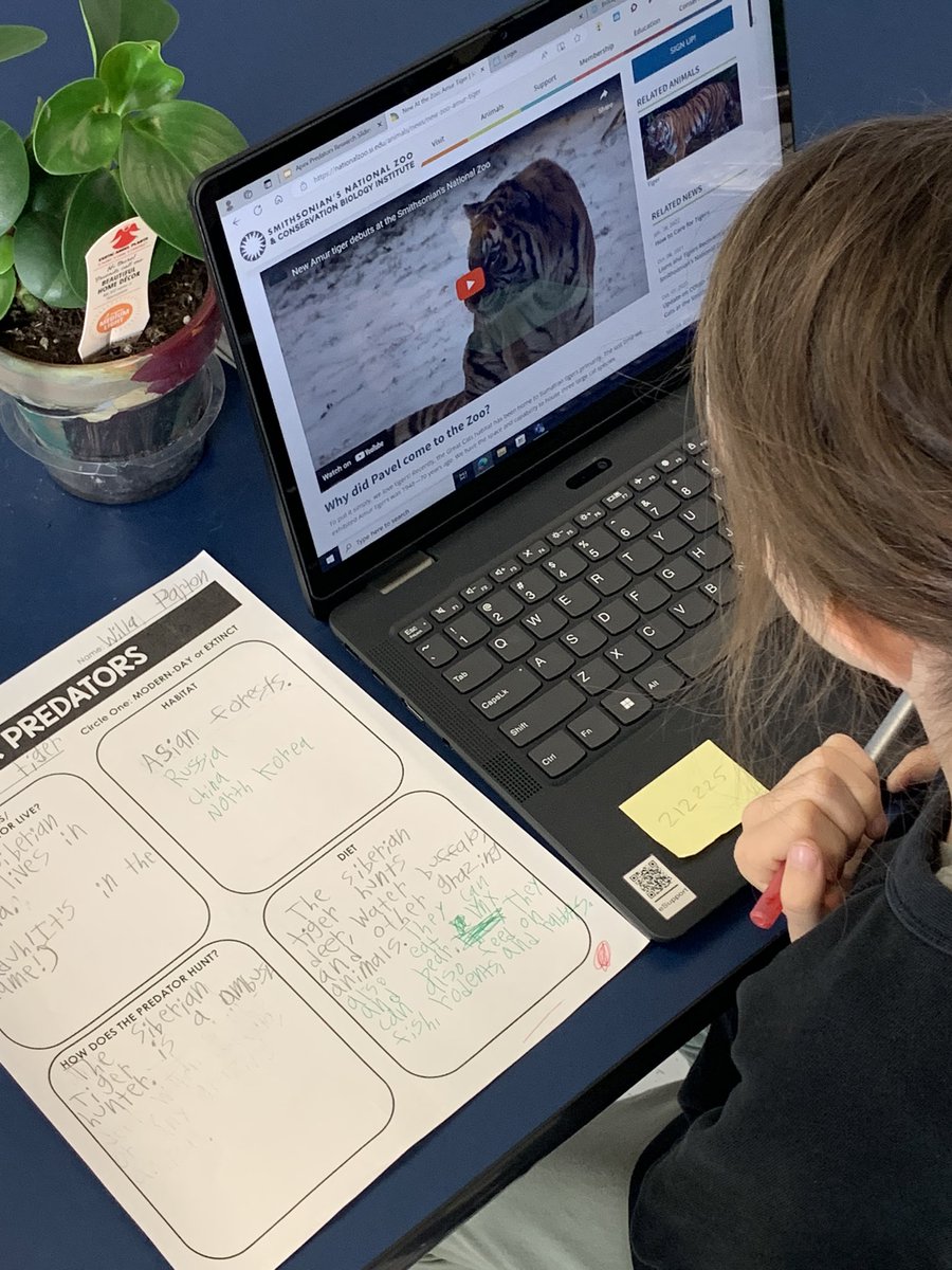 MrJacksonsWorld's tweet photo. We’re researching apex predators by looking at texts, podcasts, and videos to gather info. For each new source we used a new color then discussed how to synthesize our information from multiple sources to form our understanding. #fourthgrade https://t.co/C7H9s7su9b