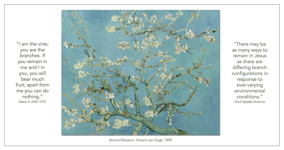 johnvs7's tweet photo. This weekend I'm talking about 'The Art, Science, and Theology of Tree Branches' (attached is a digital copy of a postcard I'll be handing out—a snapshot of the topic) #MardaLoopChurch #EngagingGodEverywhere
#GodSpeaksScience https://t.co/xCcn57C9AA