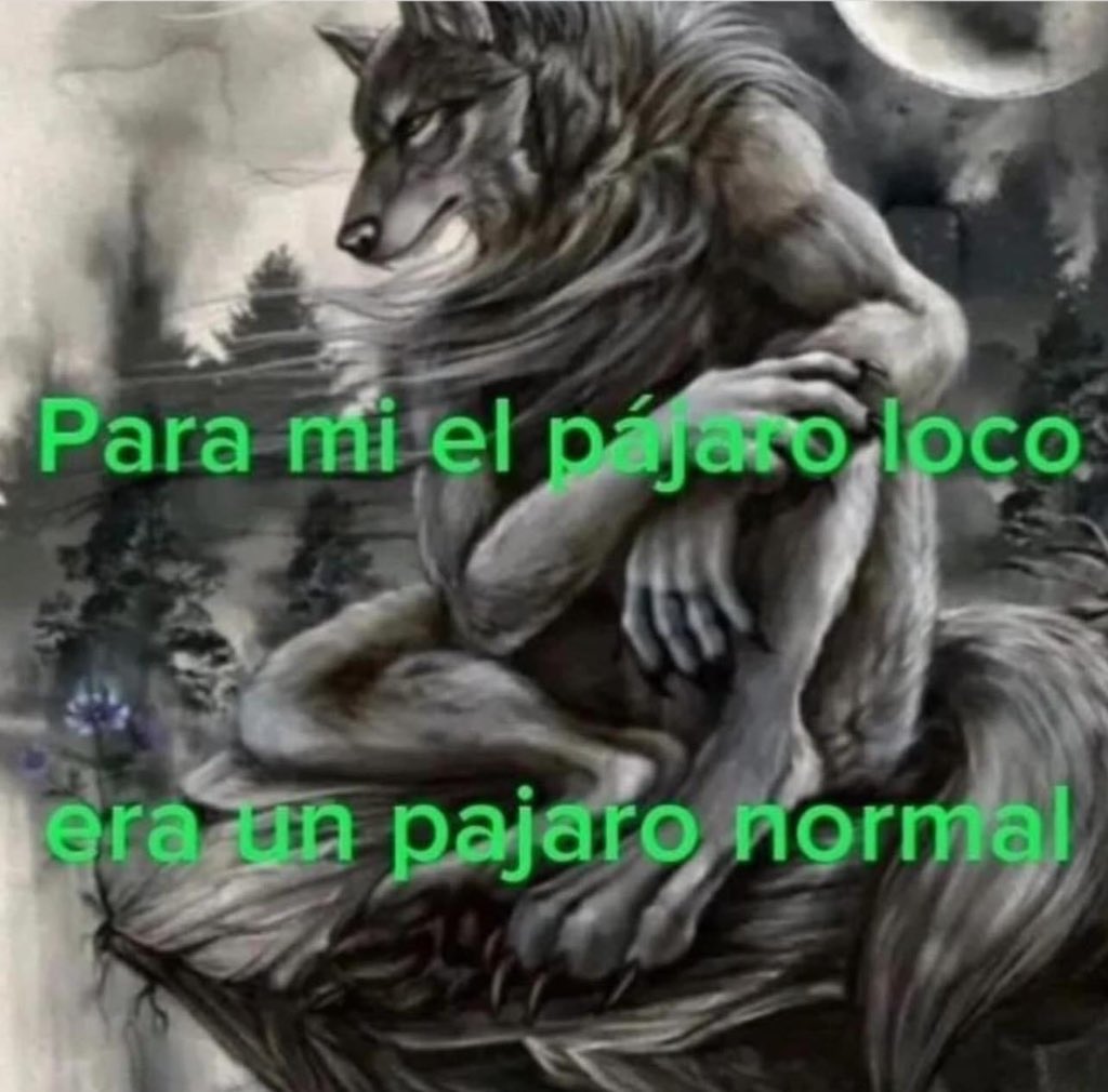 bnos dias