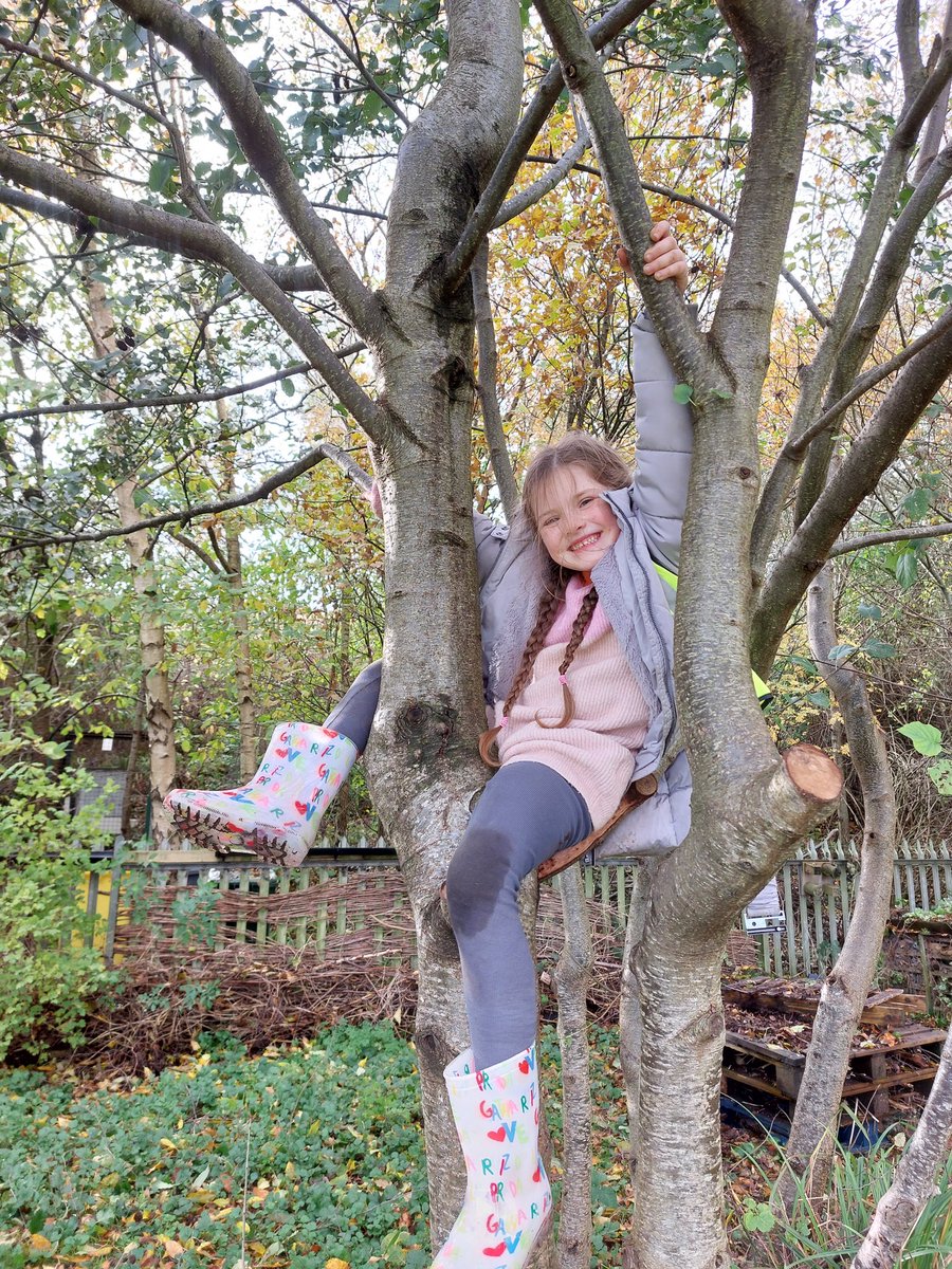 Church Drive Primary School tweet media