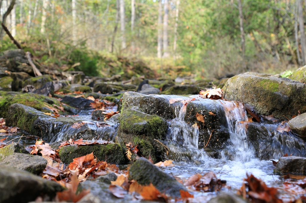 Today is National Philanthropy Day! We want to say THANK YOU to our donors, partners and volunteers. Your support helps us protect the natural environment, inspire learners of all ages, and create spaces for our communities to enjoy today and in the future. #conservation #giving