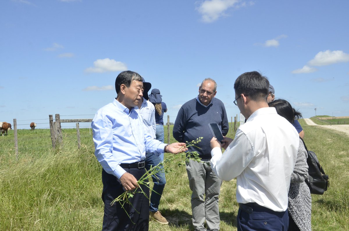 INIA es anfitrión y firma acuerdo de cooperación con importante delegación de la Academia de Ciencias Agrícolas de la Provincia de Jilin de China. 

Provincia de las más importantes referido a producción de alimentos. <a href="/MGAPUruguay/">MGAP</a>  <a href="/INIA_UY/">INIA URUGUAY</a>  

bit.ly/3QZXTgm