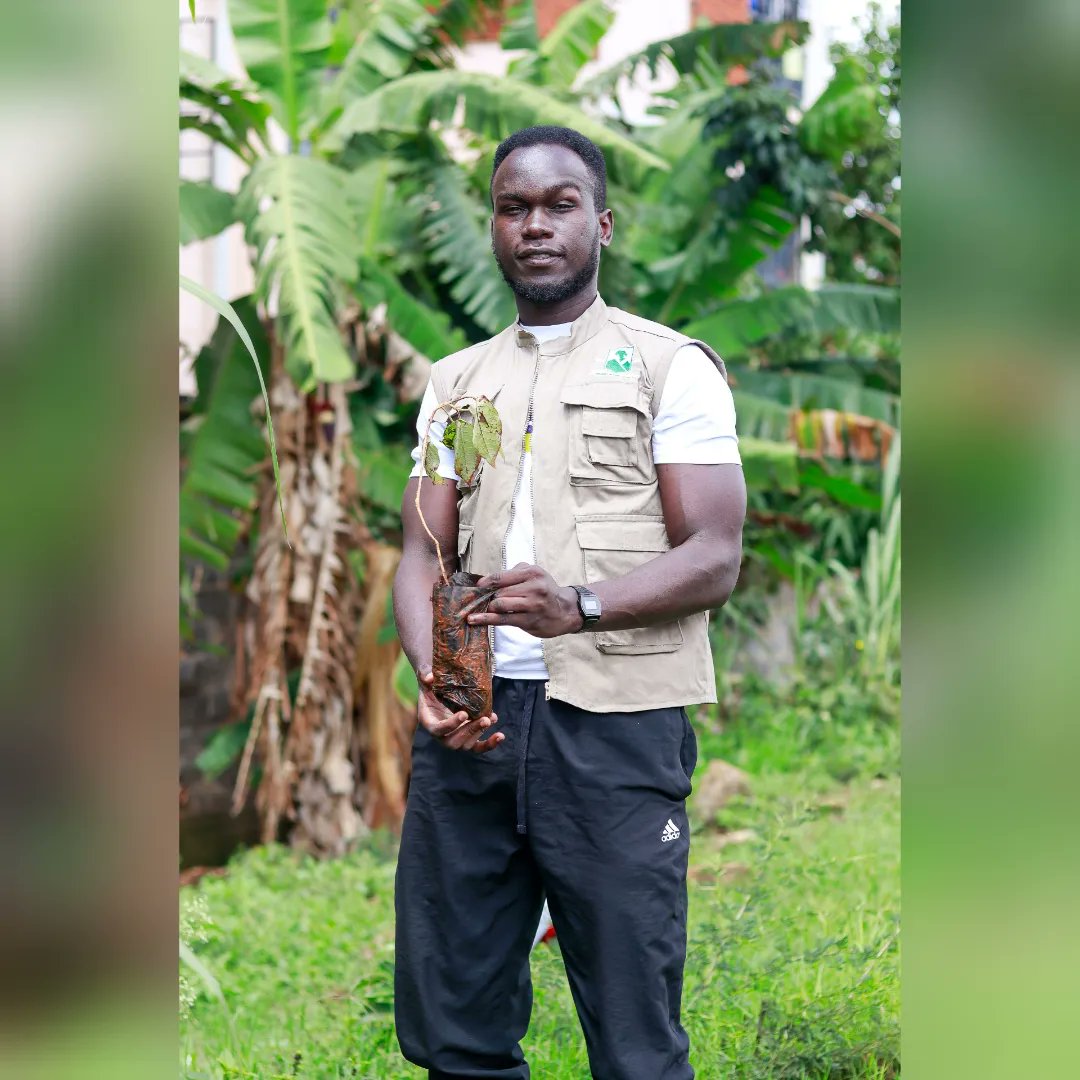 RegentAlpine's tweet image. During Kenya's inaugural National Tree Planting Day where we took part in planting 700 seedlings at the Kileleshwa primary school.