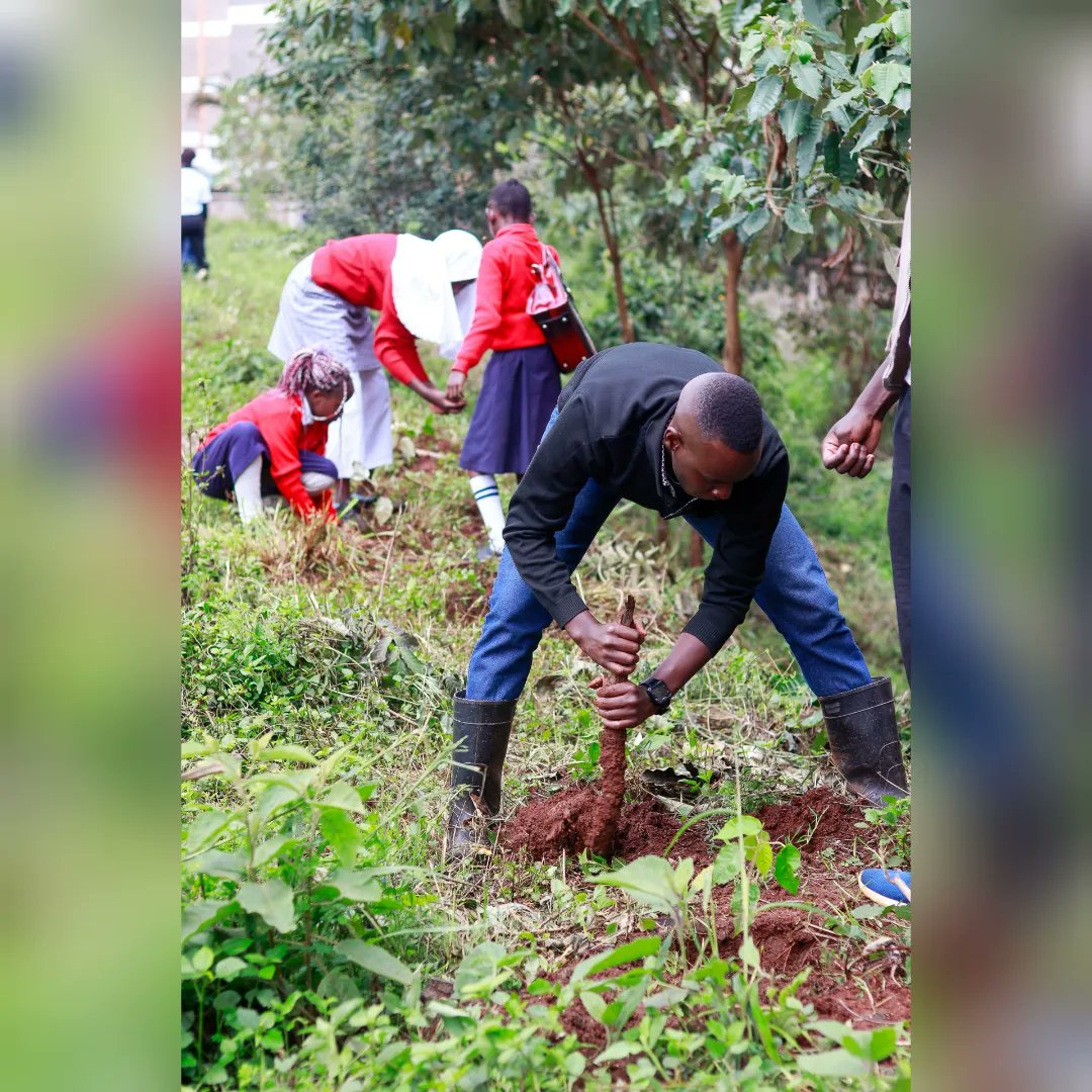RegentAlpine's tweet image. During Kenya's inaugural National Tree Planting Day where we took part in planting 700 seedlings at the Kileleshwa primary school.