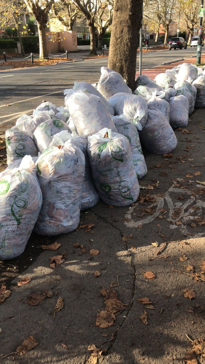 Amazing work by the students of Scoil Mhuire and Ardscoil Rís on Griffith Avenue in the last couple of days bagging leaves for composting by <a href="/DubCityCouncil/">Dublin City Council</a> Go raibh míle maith agat!