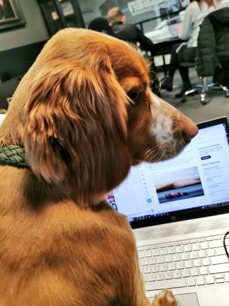 Nielsen Racing tweet media